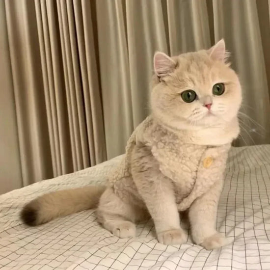 Cat Clothes Warm
