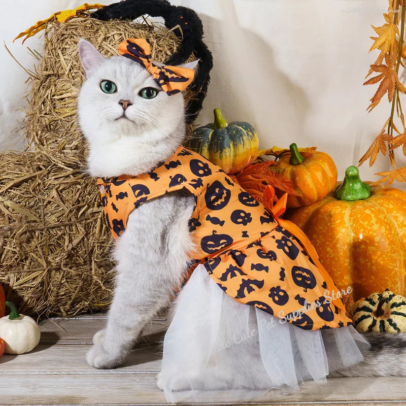 Halloween Pet Dog Dress