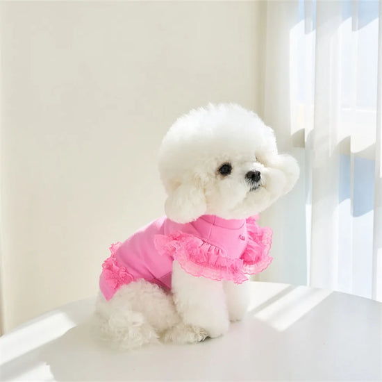Lace Pet Summer Vest