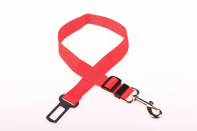 Car Seat Belt Buckle