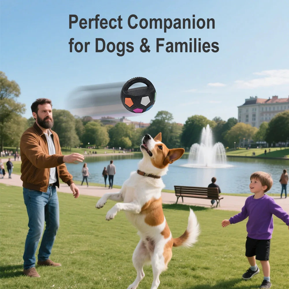 Pet Dog Toy Football Shape