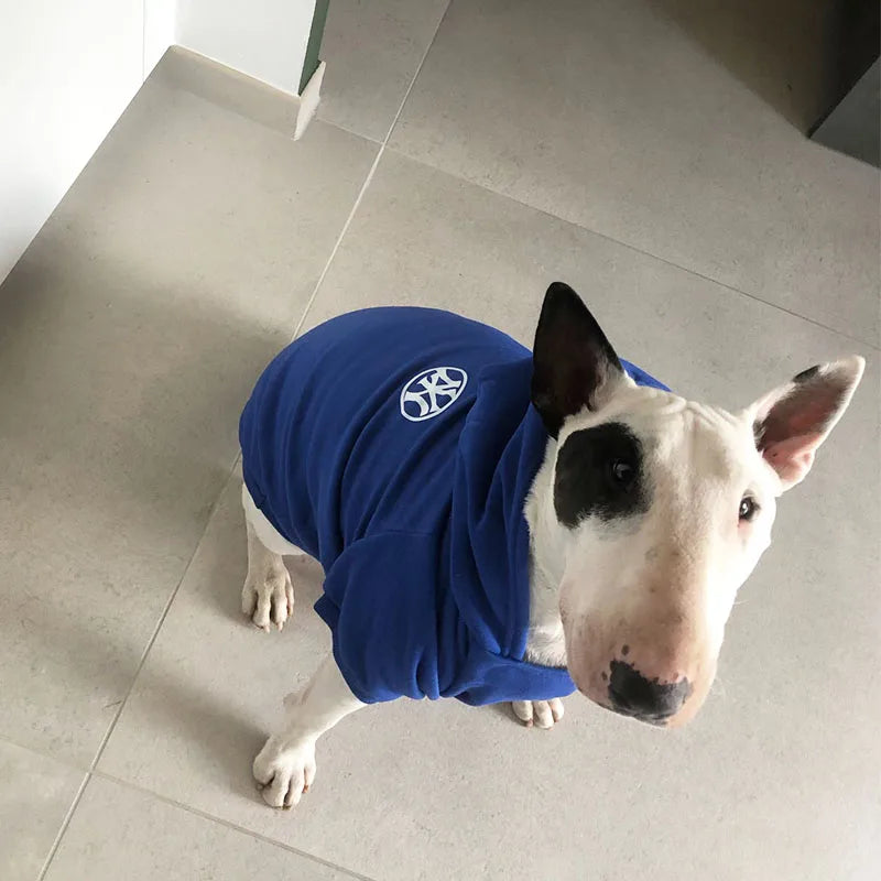 Dog Hoodies