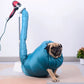 Pet Dogs Dryer