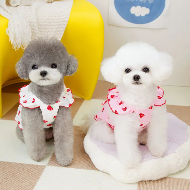 Strawberry Print Pet Dog Dress 2025