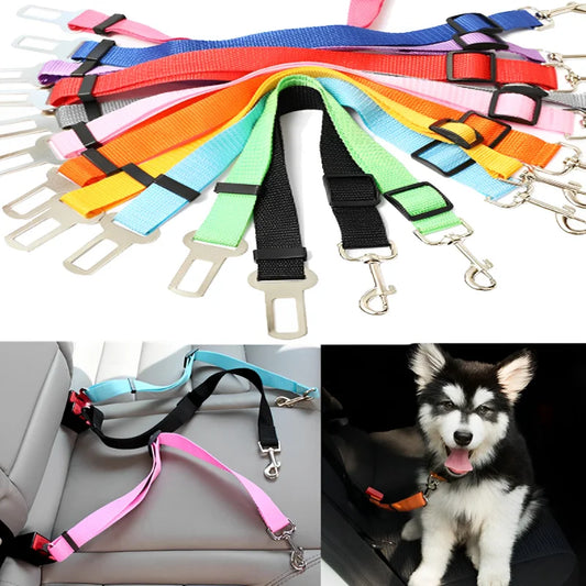Car Seat Belt Buckle