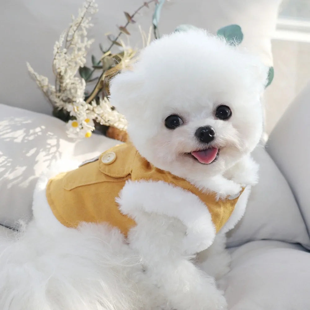 Soft Bear Pattern Dog Clothes