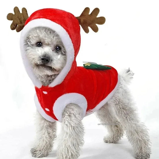 Christmas Dog Costume Festive Red