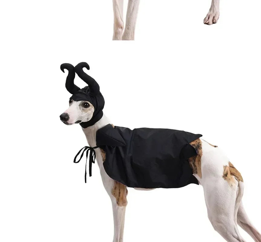 Halloween Witch-Shaped Costume