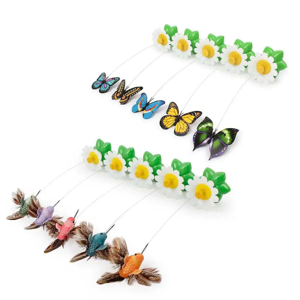 Electric Butterfly or Humming Bird Cat Toy