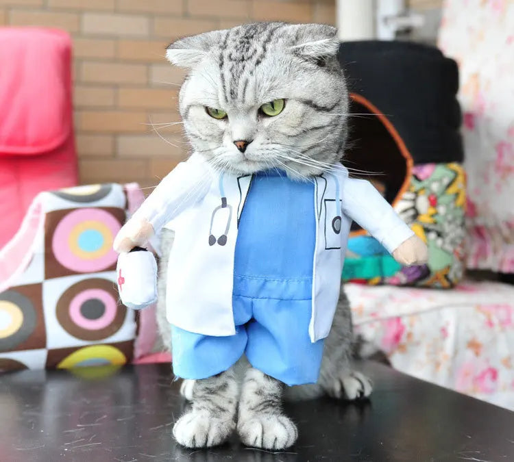 Pet Costume Clothes Suit