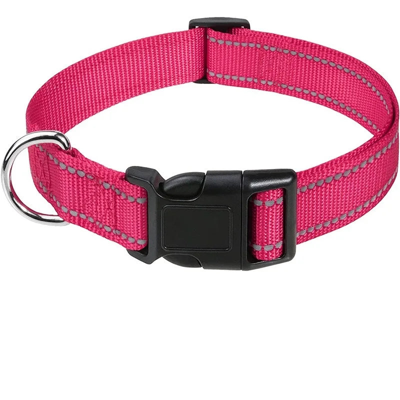 Choke Dog Collar