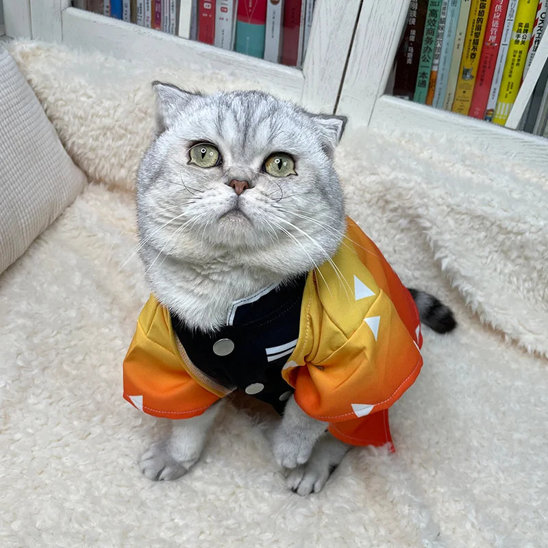 Demon Slayer Zenitsu Pet Cosplay