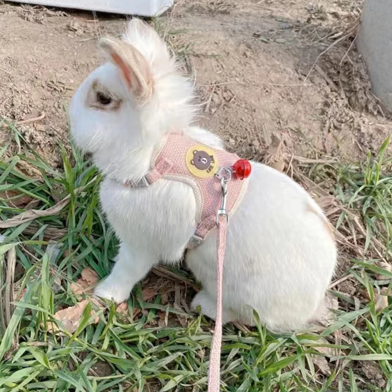 Newest Cute Rabbit Harness and Leash Set