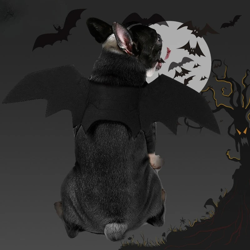Halloween Pet Bat Wings Felt Costume