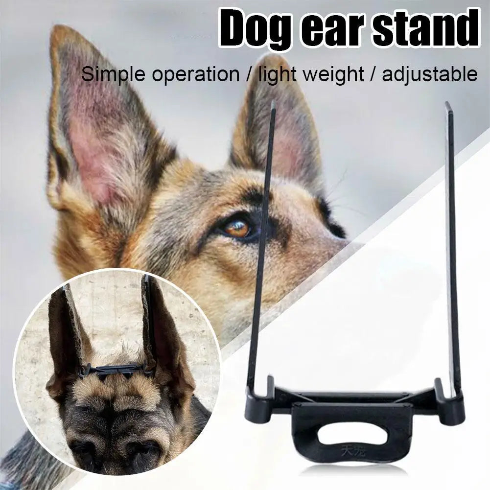 Dog Puppy Ear Care stand