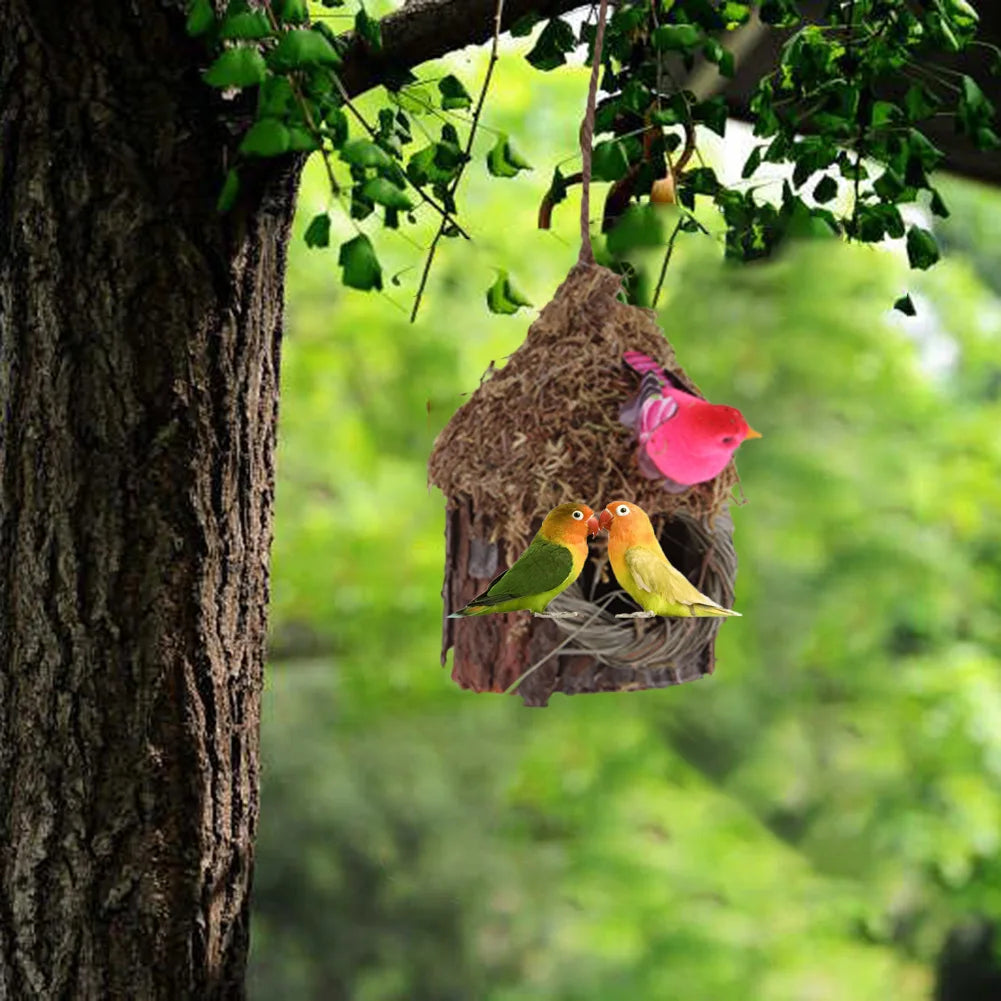 Outdoor Patio Simulation Bird House