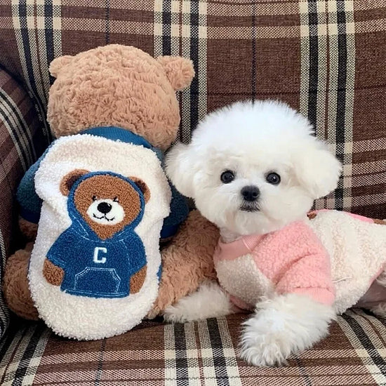 Embroidered Bear Dog Sweatshirt