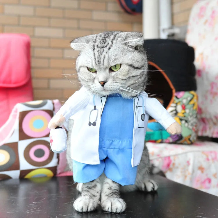 Pet Costume Clothes Suit
