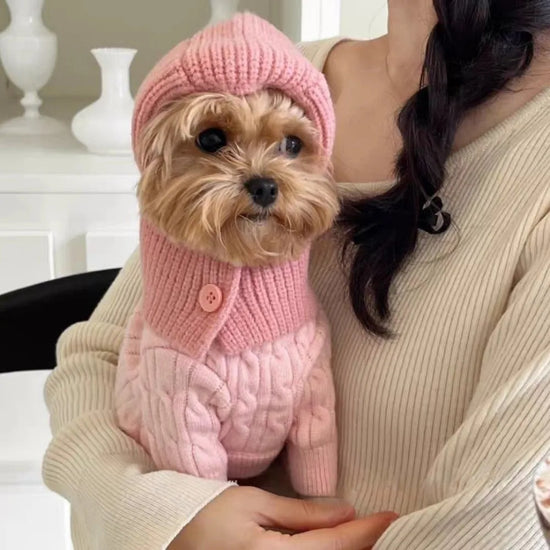 Cute Warm Knitted Hat Soft Comfortable Pet Hooded Scarf Fashion Solid Color Cat Bear Hat Autumn Winter