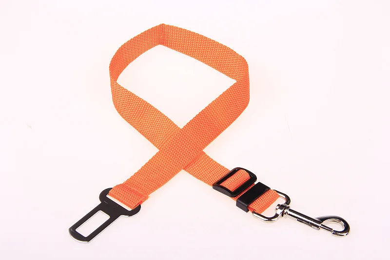 Car Seat Belt Buckle