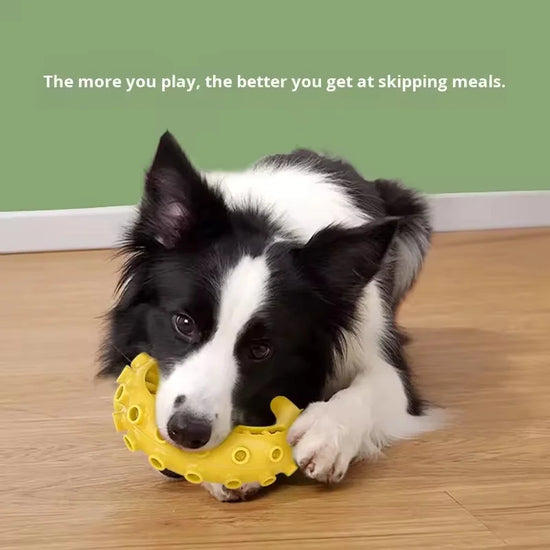 TPR Pet Dog Toys for Small Medium Dogs