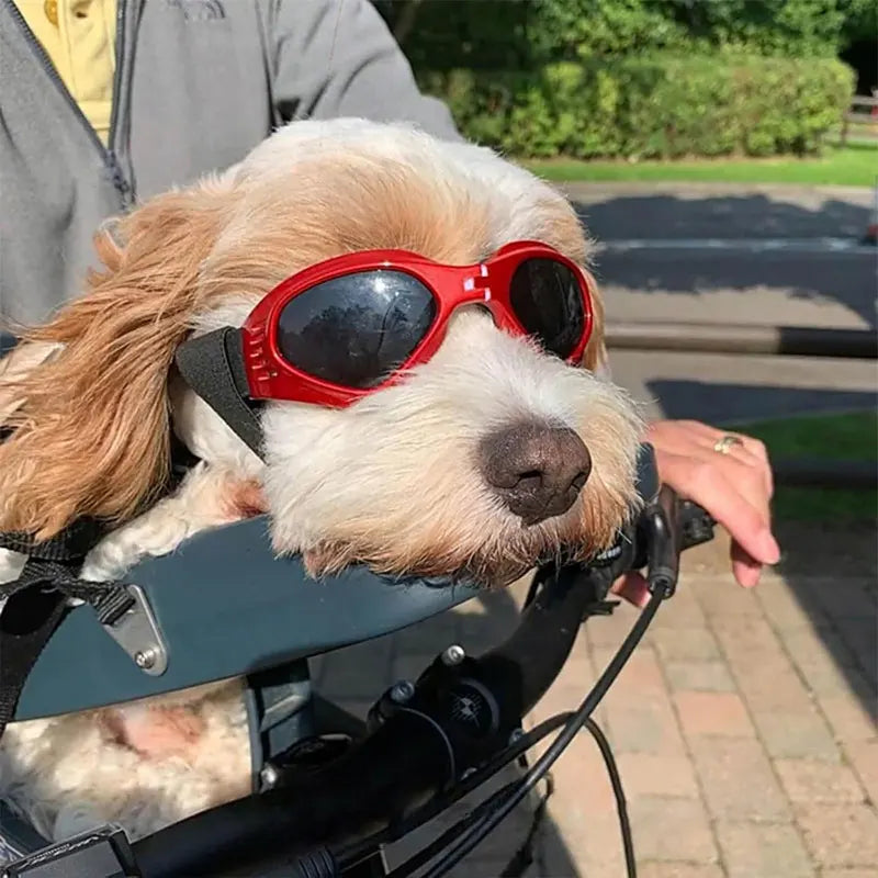Foldable Pet Glasses