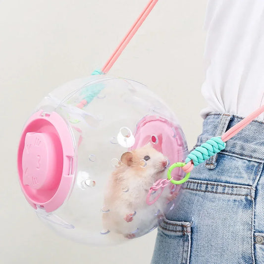 Hamster Outdoor Carrying Ball