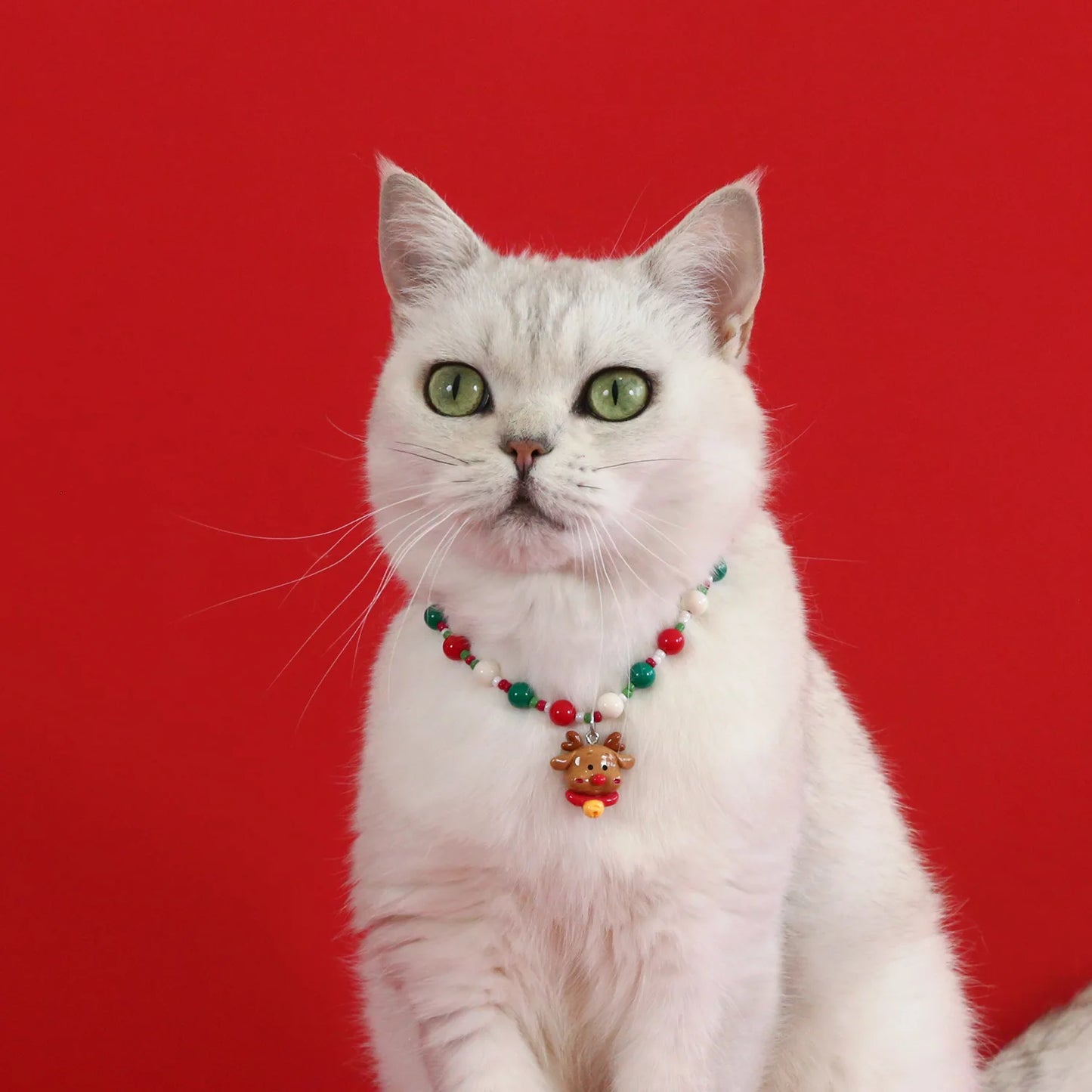 2026 Christmas Pet Collar