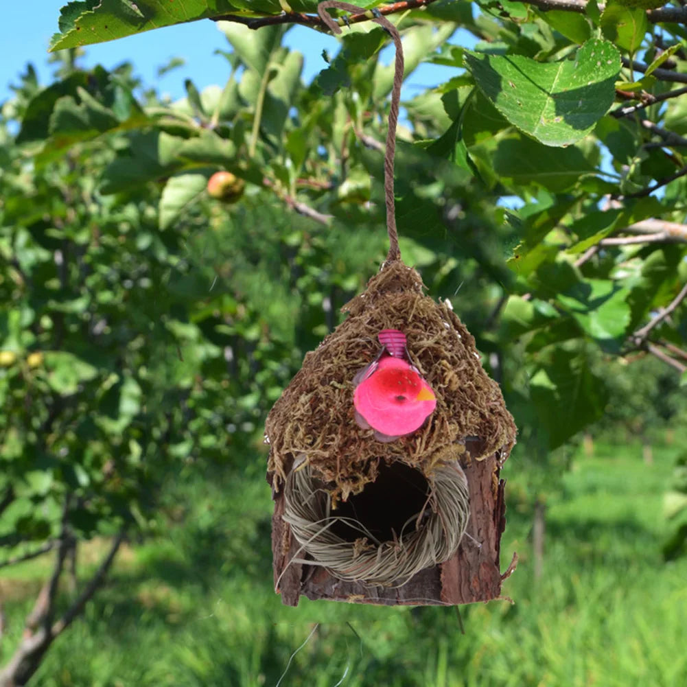 Outdoor Patio Simulation Bird House