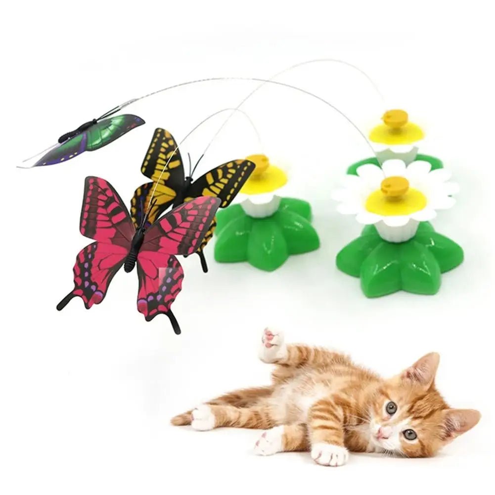 Electric Butterfly or Humming Bird Cat Toy