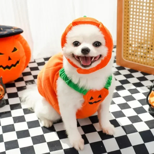 Halloween Pumpkin Vest For Dogs Cats