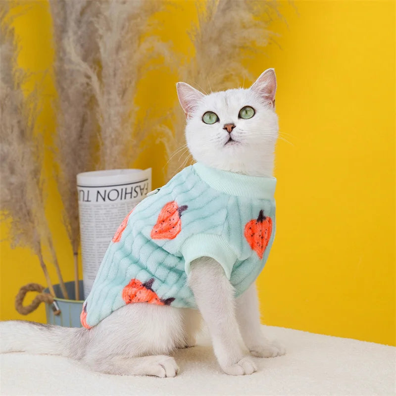 Korean Style Sphynx Cat Sweater with Buckle