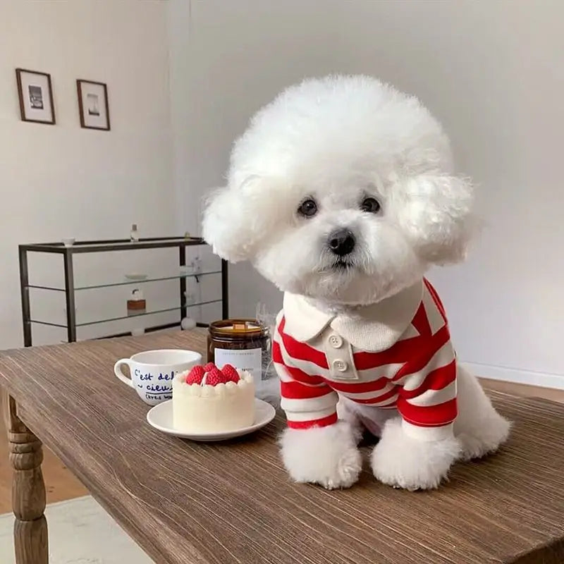 Fashion Pet Dog Striped Shirt