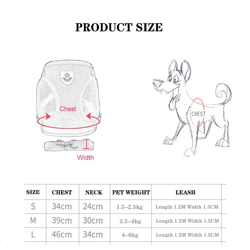 Cat Harness