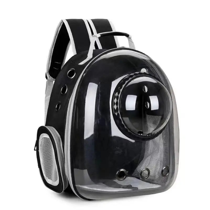 Transparent Cat Backpack