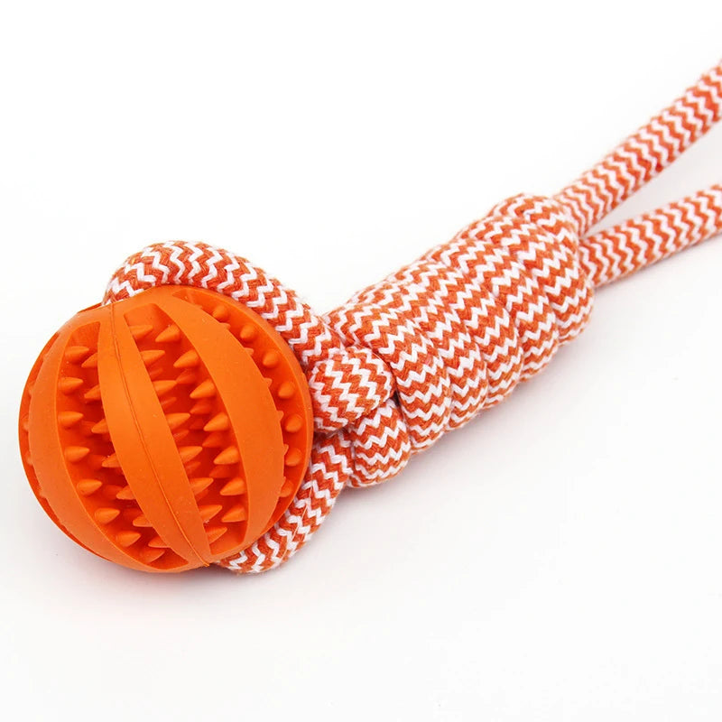 Pet Tooth Cleaning Ball Toy