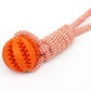 Pet Tooth Cleaning Ball Toy