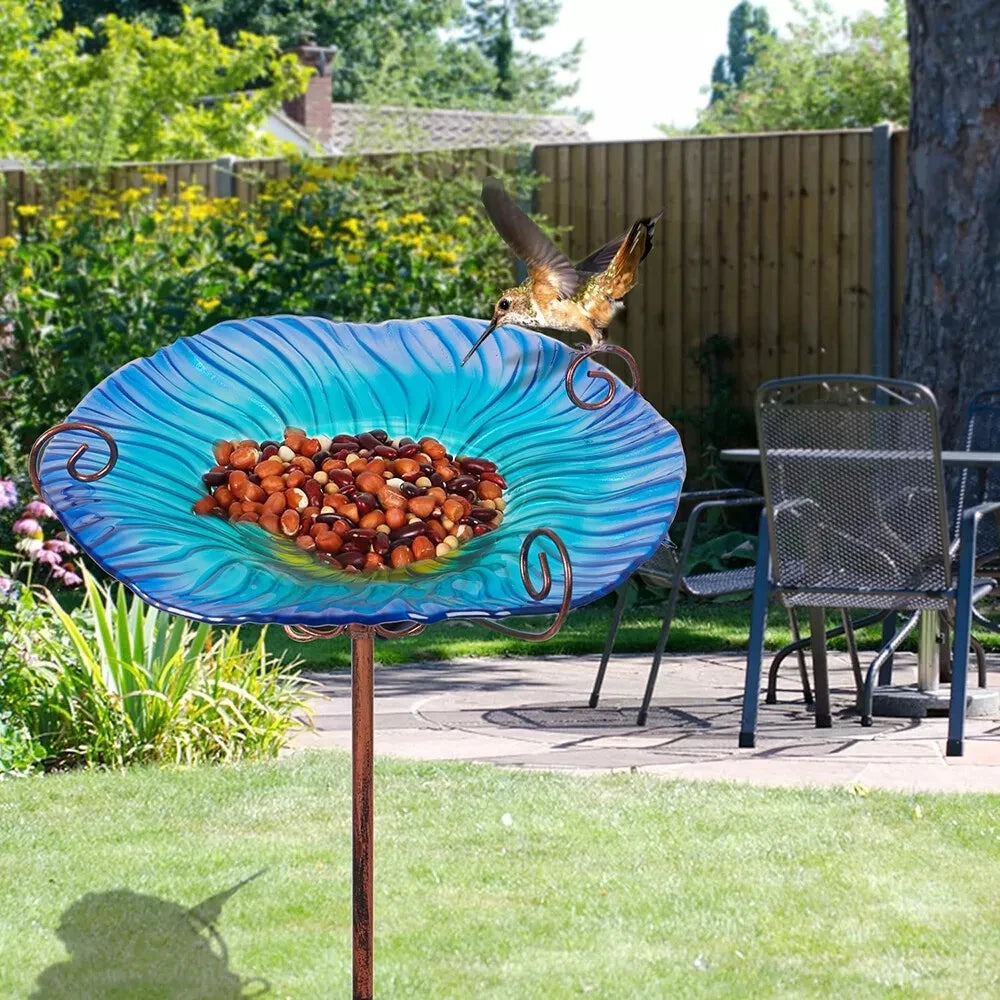 Bingopaw Bird Bath