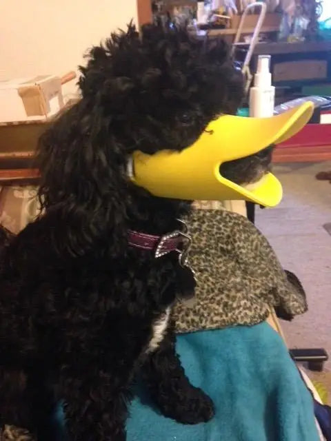 Anti Bite Duck Mouth Shape