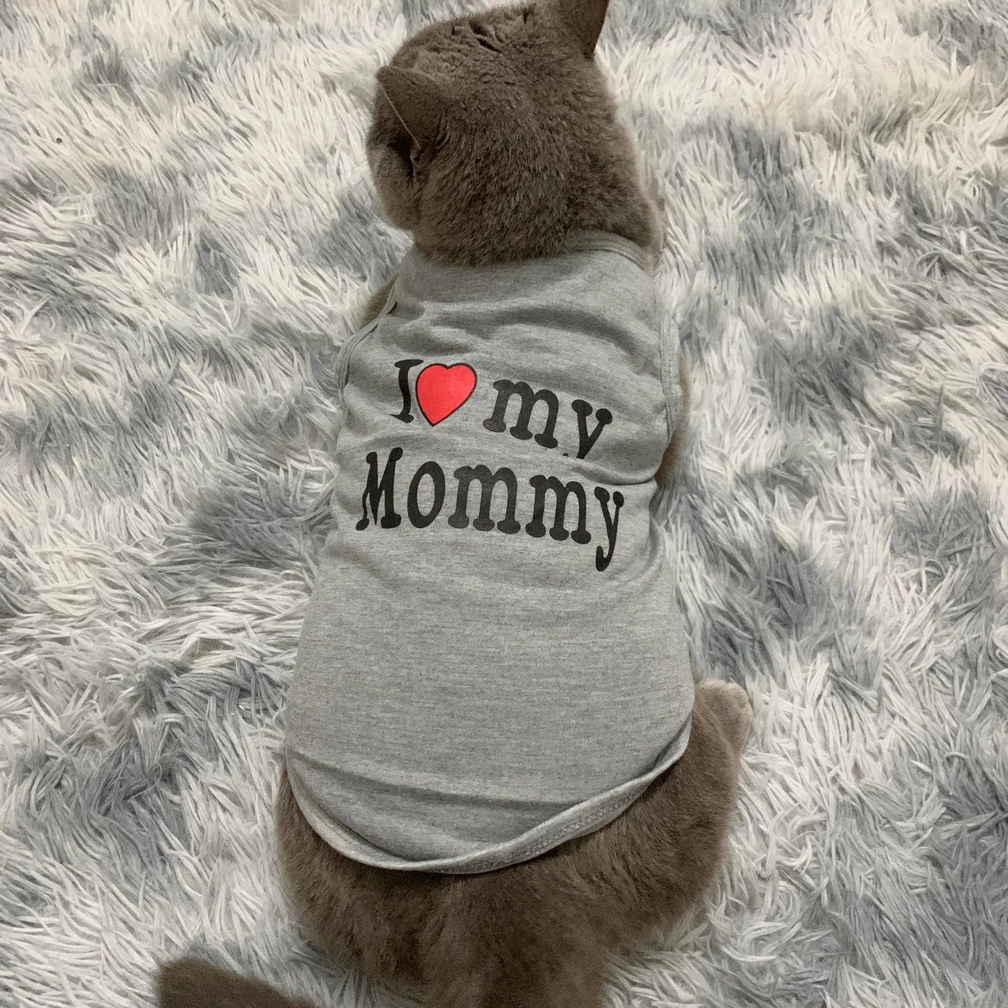 Lovely Pet Clothes for Small Cats Dogs