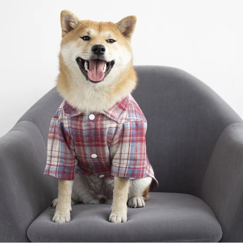 British Style Cat Dog Shirt