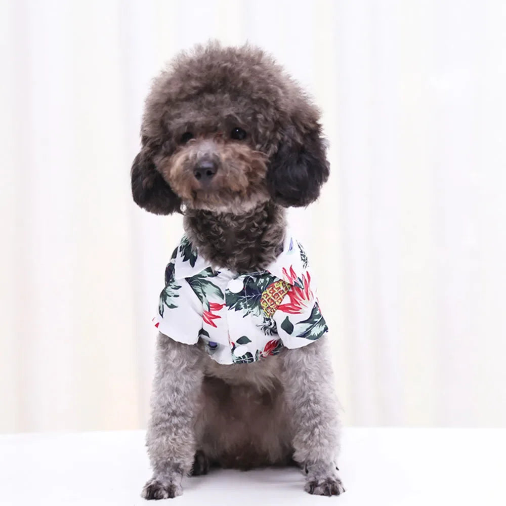 Hawaiian Shirt Designer