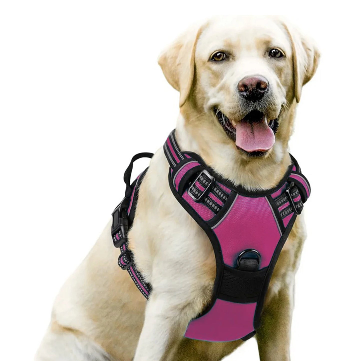 Dog Harness No Pull