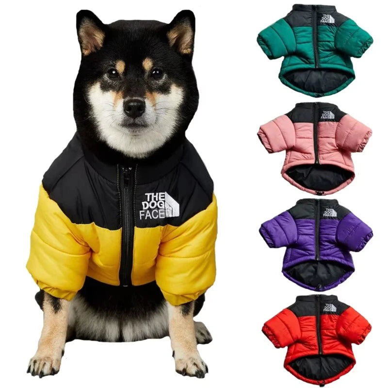 The Dog Face Winter