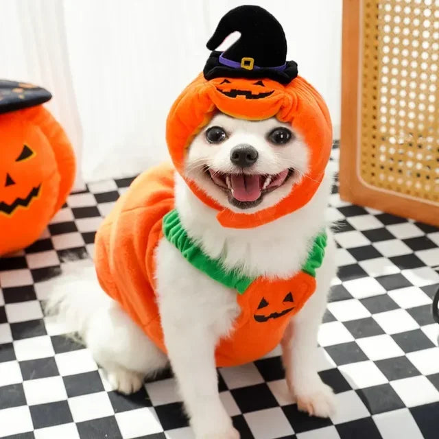 Halloween Pumpkin Vest For Dogs Cats