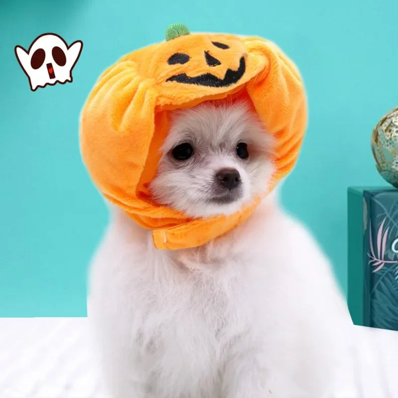 Cute Pet Pumpkin Hat