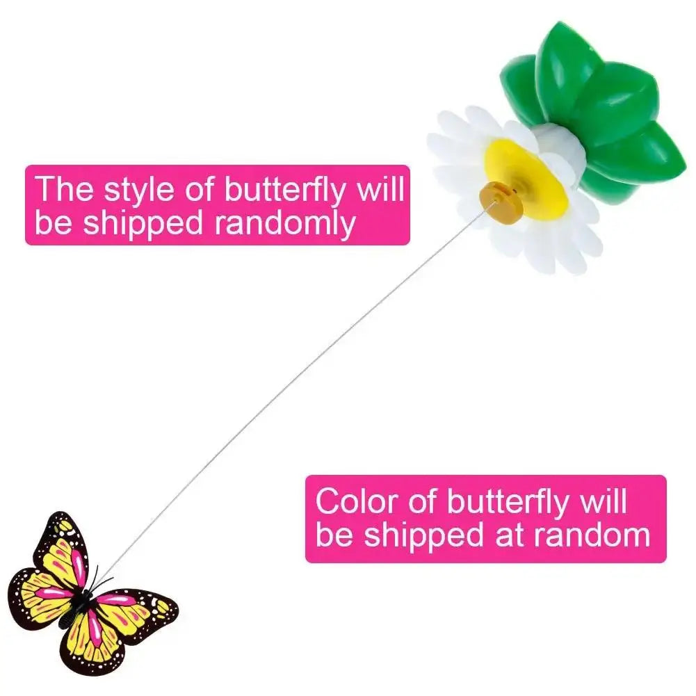 Electric Butterfly or Humming Bird Cat Toy