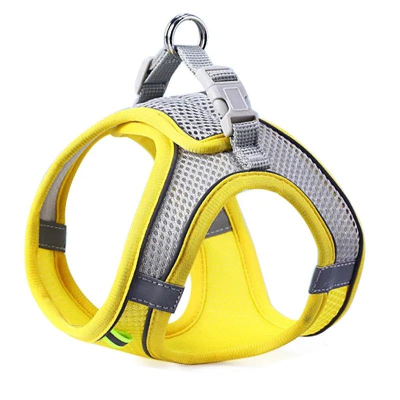 Cat Dog Harness Vest Chest Rope Set