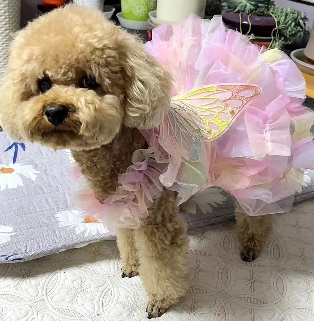Cat Dog Princess Dress Clothes