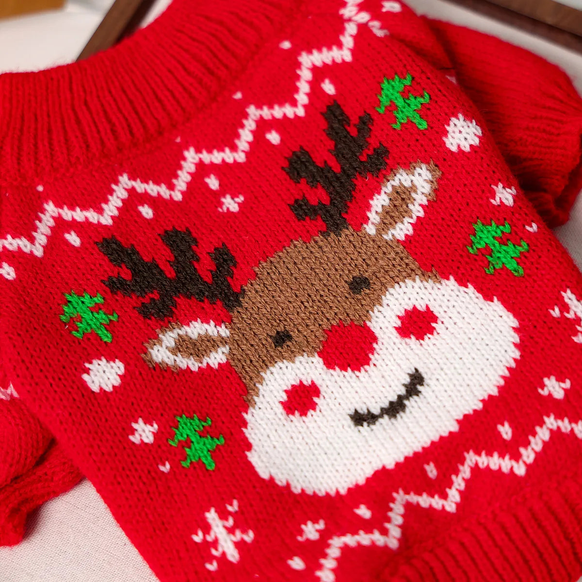 Pet Clothes for Christmas